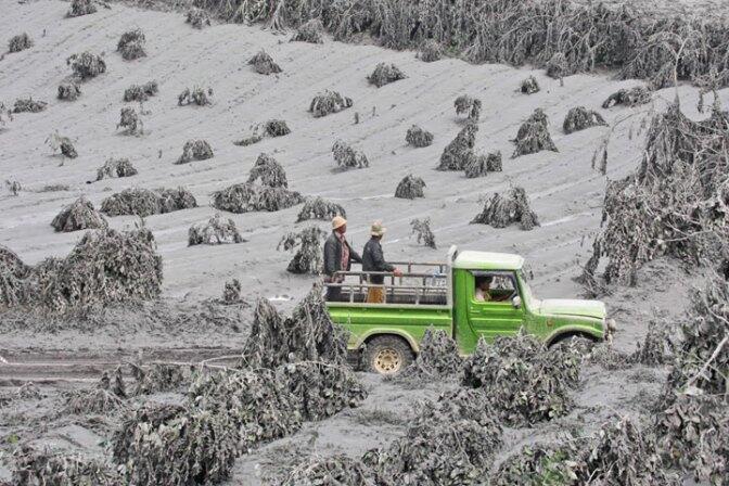 Villagers inspect ash on coffee plantation after the eruption of Mt...