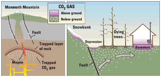 CO2 pathways above and below ground....
