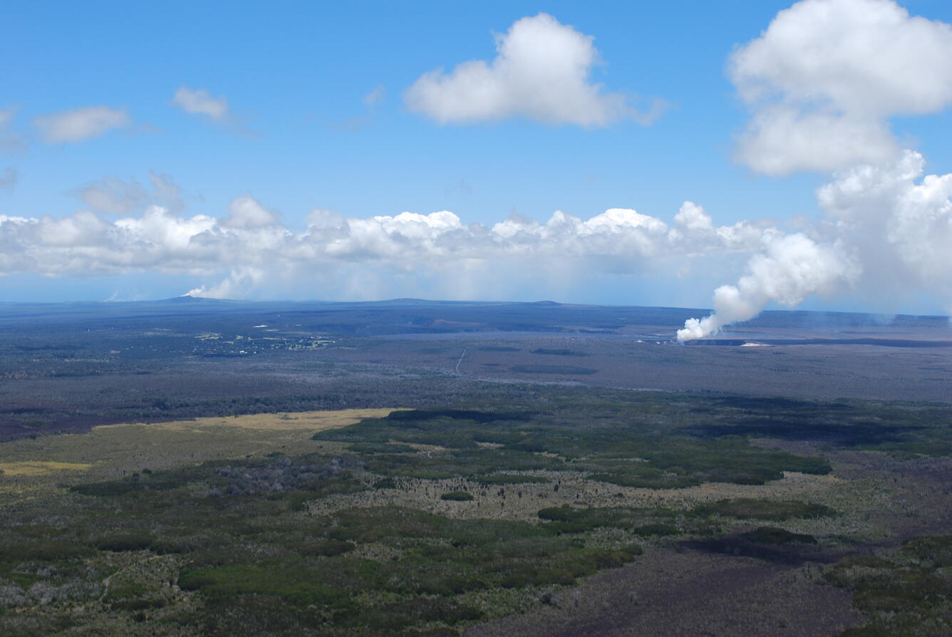 Volcanic-gas plumes emitted by ocean entry, Pu‘u ‘Ō‘ō vent, and Hal...