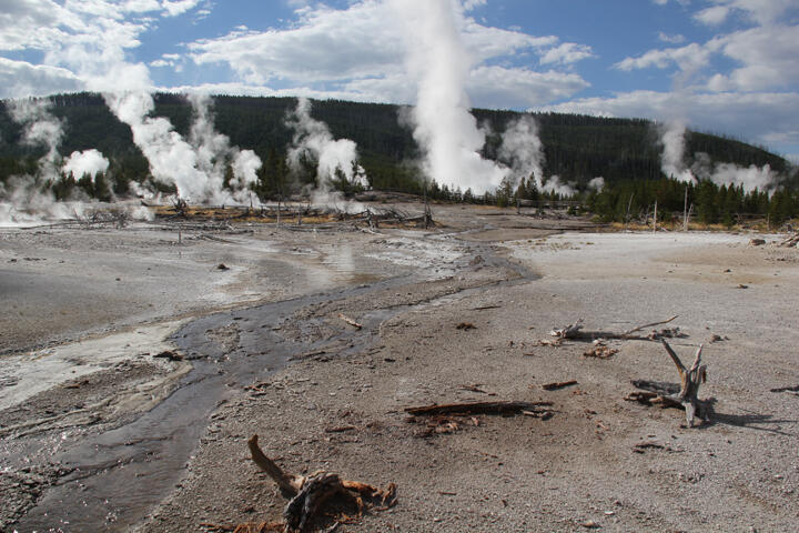 Gray Lakes Tributary, Norris Geyser Basin, Yellowstone National Par...