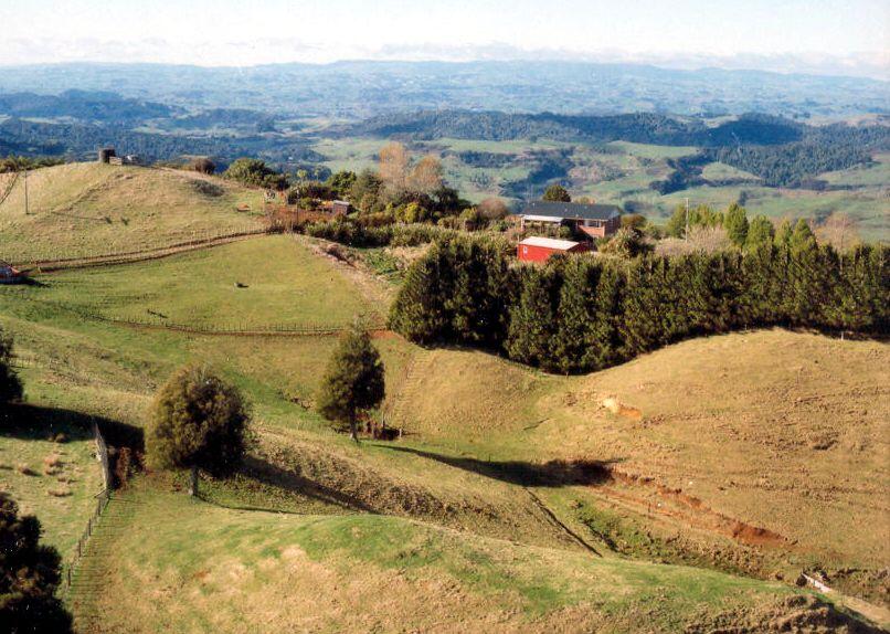 Pastural land in the Waikato Region, near the Taupo Volcanic Zone, ...