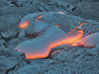 This is a photo of lounging sacks of lava.