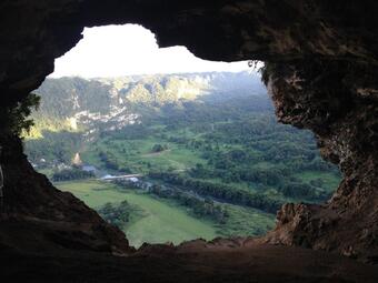Fields and forests viewed from the inside of a cavern opening