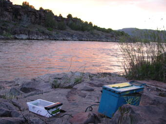 UV light trap set up at dusk along the river's edge to collect and inventory riparian insect populations