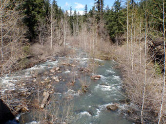 A view of White Creek.