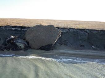View looking at a coastal bluff where a large chunk has collapsed onto the beach.