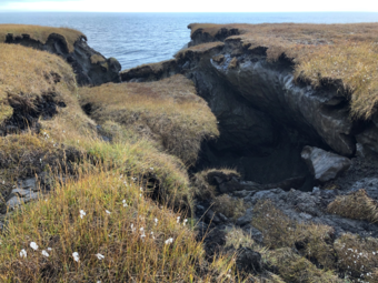 A drainage gully through Arctic tundra with slumped chunks of turf and permafrost.