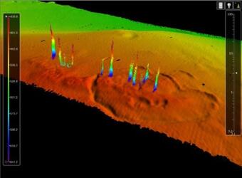 Computer model of the seafloor showing the features.