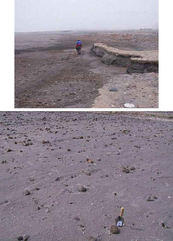 One photo has a person standing on a beach that's been heavily eroded, one photo has scattered cobbles over a beach.