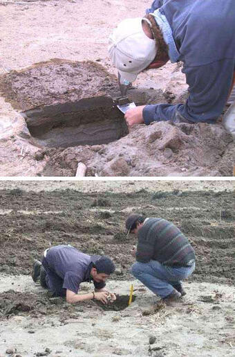 One photo shows a man examining sand in a hole, one photo shows two men photographing sand in a hole.