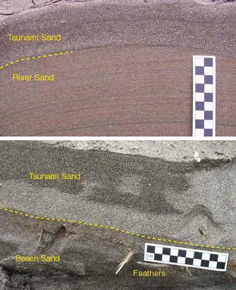 Two photos showing cross-sections of sand and labeled with various features to show the structure of tsunami deposits.