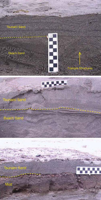 Three photos showing cross-sections of sand and labeled with various features to show the structure of tsunami deposits.